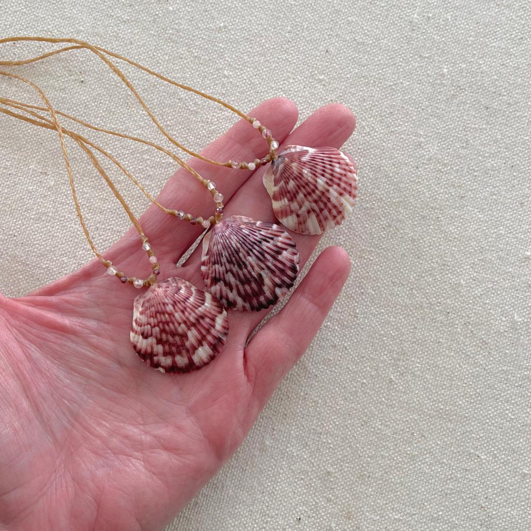 Scallop Seashell Beach Necklaces
