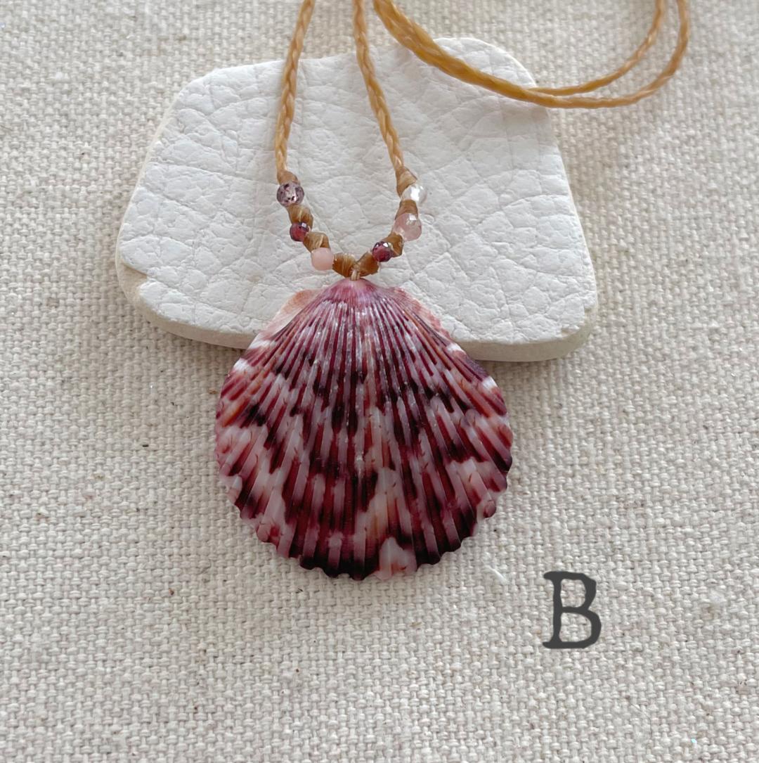 Scallop Seashell Beach Necklaces