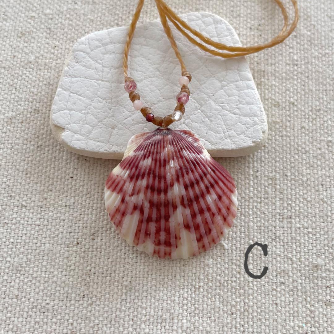 Scallop Seashell Beach Necklaces