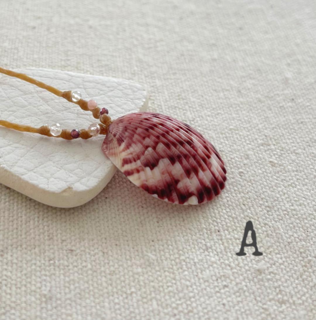 Scallop Seashell Beach Necklaces