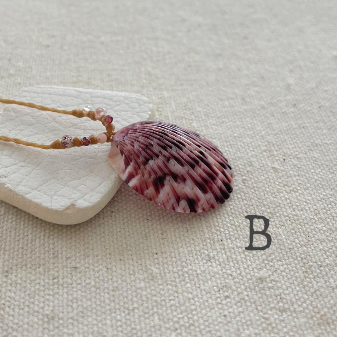 Scallop Seashell Beach Necklaces