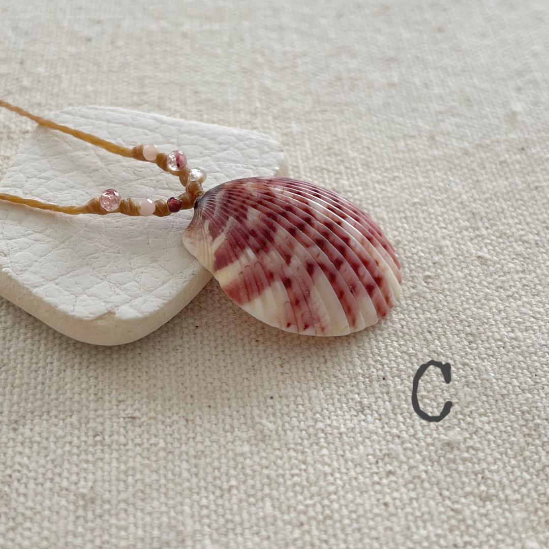 Scallop Seashell Beach Necklaces