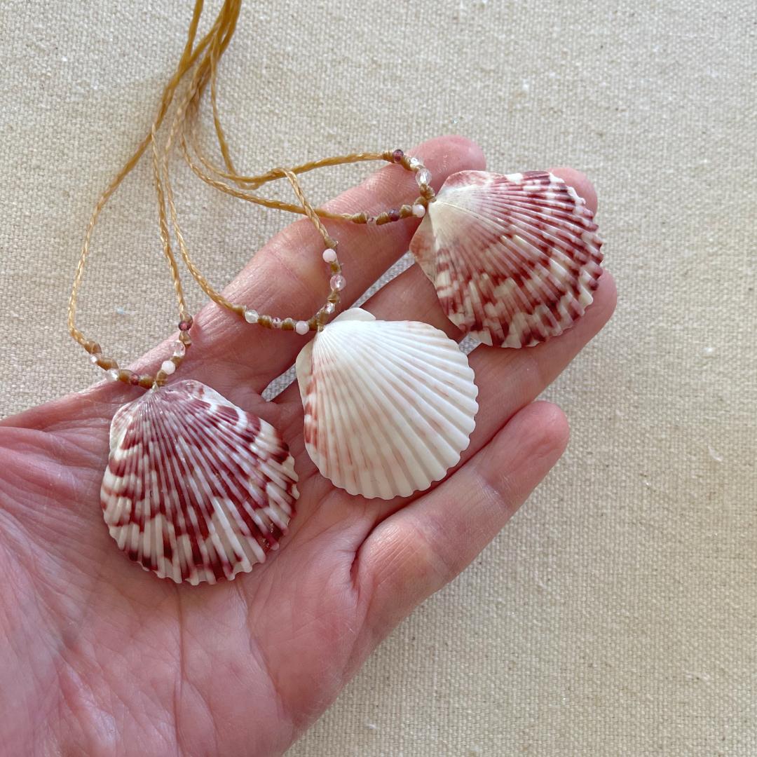 Real Scallop Seashell Beach Necklaces