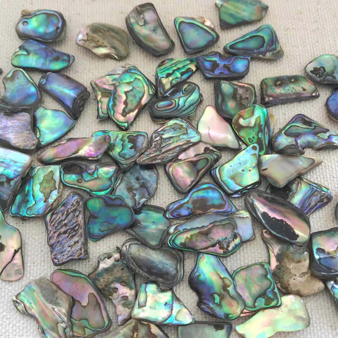 Abalone Shell Beach Choker Necklace