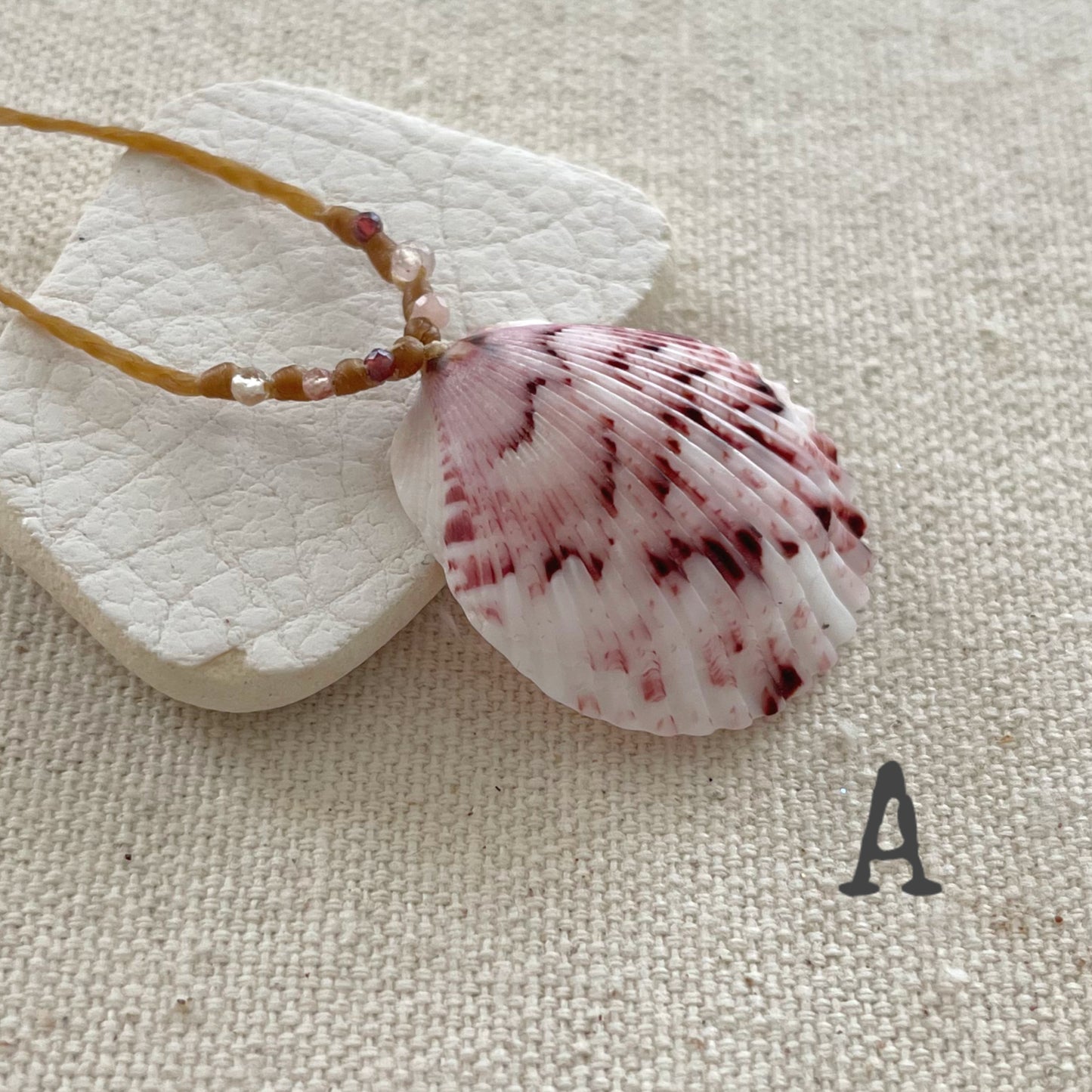 Scallop Seashell Beach Necklaces