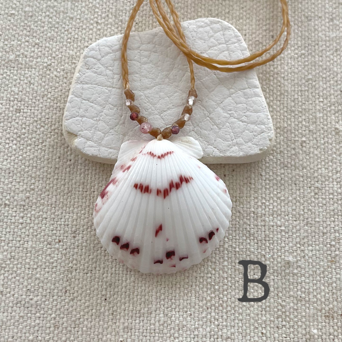 Scallop Seashell Beach Necklaces