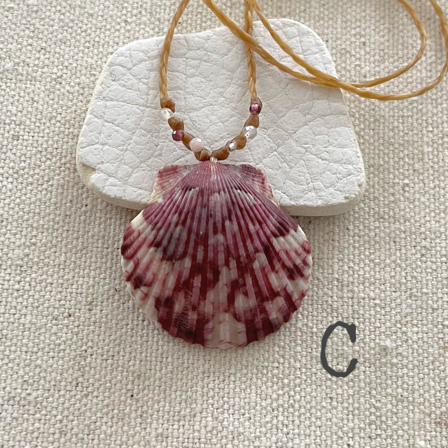 Scallop Seashell Beach Necklaces