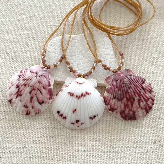 Scallop Seashell Beach Necklaces