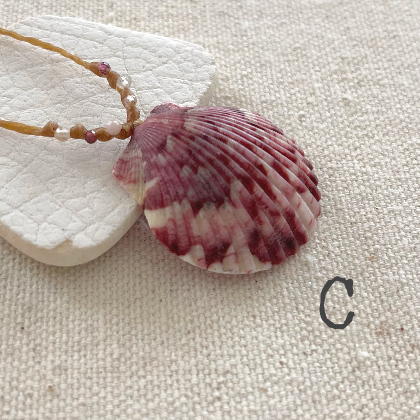 Scallop Seashell Beach Necklaces