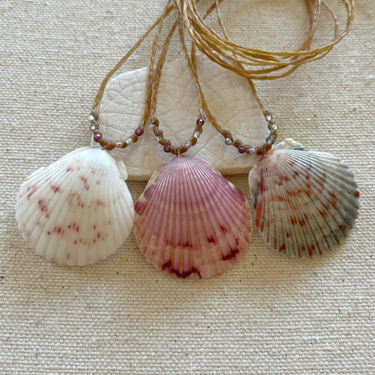 Scallop Seashell Beach Necklaces