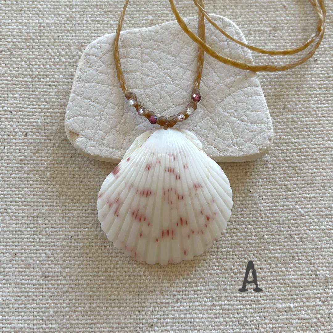 Scallop Seashell Beach Necklaces