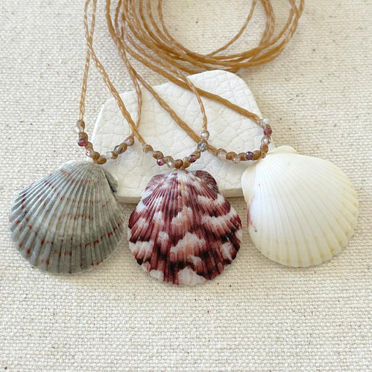 Scallop Seashell Beach Necklaces - Grey, Pink, or White