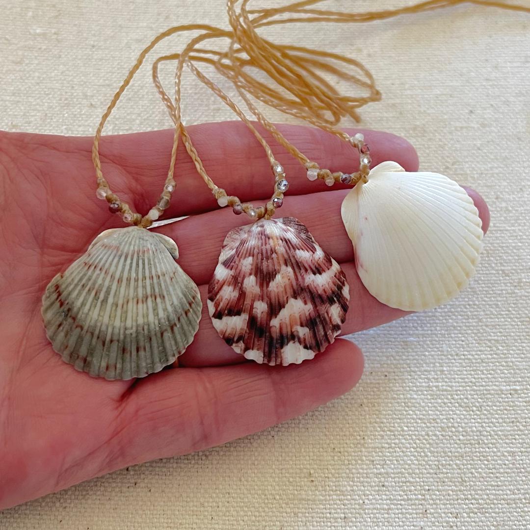 Dainty Seashell Necklace, Real Scallop Shells, Real Seashell Necklace,  Mermaid Necklace, Ocean Jewelry, Beach Necklace - Etsy | Sea shell charm  necklace, Seashell necklace, Shell necklace diy