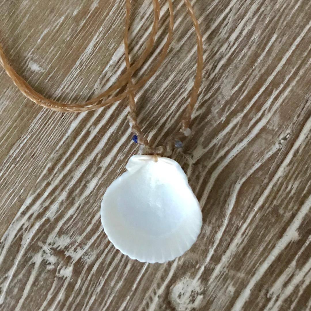 Handwoven Scallop Shell Necklace White